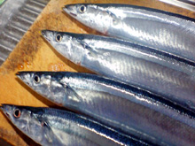 20060915_sanma.jpg